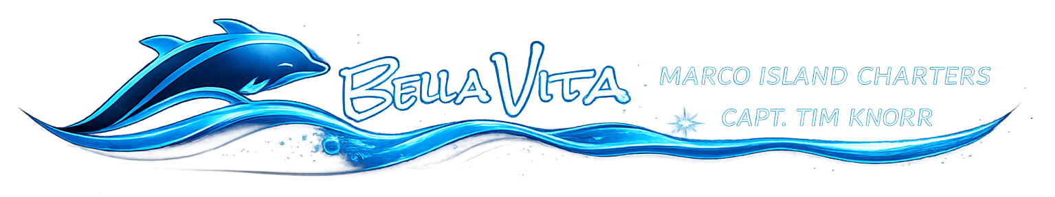 Bella-Vita-Banner-Logo.png